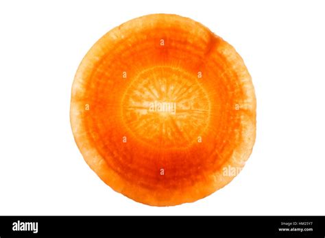 Slice Carrot Cross Section Backlit Cut Out Stock Images Pictures Alamy