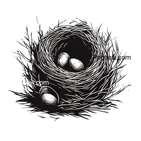 Nest PNG transparent background images - Photo #16742 - Pngdow - Free ...