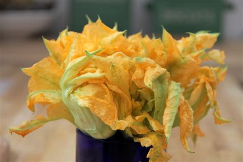Squash Blossoms • My Well Seasoned Life