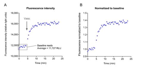 Biosensor Assays For Measuring The Kinetics Of G Protein And Arrestin Mediated Signaling In Live