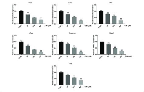 Cim Dose Dependently Represses The Expression Of Osteoclast Marker