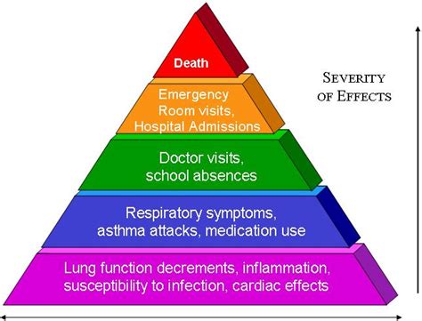 Effects of Air Pollution - Pollution in India