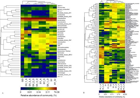 Heat Map Of Microbial Community Composition With Cluster Analysis The