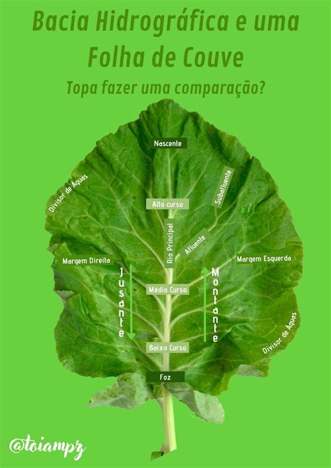 Bacia Hidrográfica Hidrográfica Bacia hidrográfica Bacia