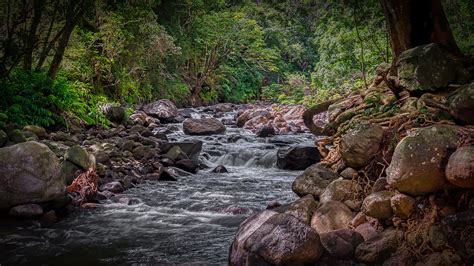 Iao Valley Maui Landscape Wallpapers - Wallpaper Cave