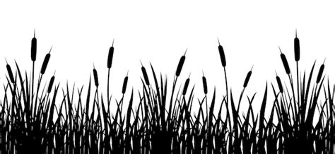 Premium Vector Black Silhouette Of Cattail Border In Tall Grass Seamless Reed Border Swamp