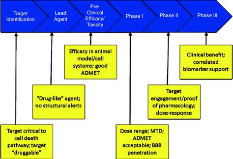 Stages Of Drug Development