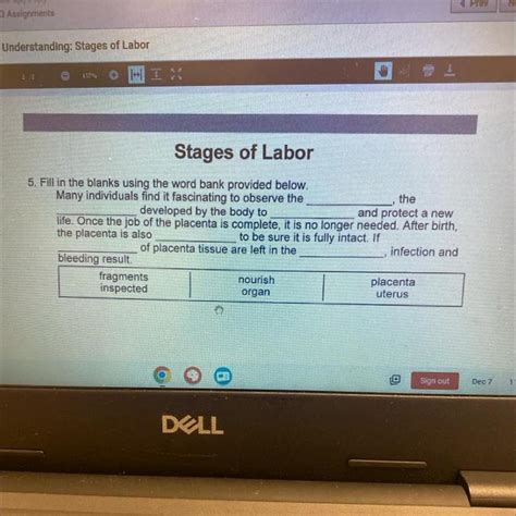 Stages Of Labor I Need Help Filling In The Blanks Brainly