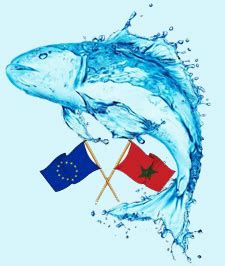 PARLEMENT EUROPÉEN LACCORD DE PÊCHE ENTRE LE MAROC ET LUE ADOPTÉ À