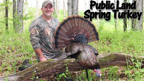 Public Land Spring Gobbler Self Filmed PA Turkey Hunt YouTube