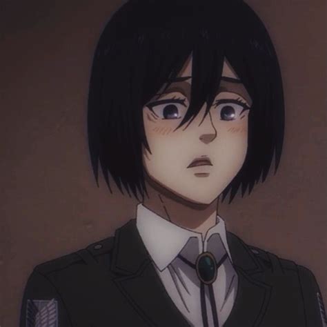 Mikasa Pfp Attack On Titan Anime Mikasa Attack On Titan Art