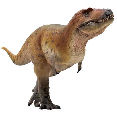 New Release Keynes The Lythronax Scientific Art Model From Pnso