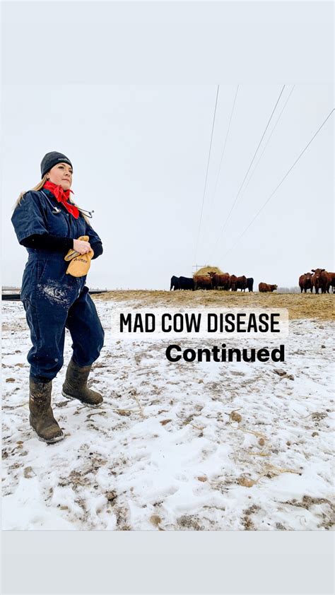 Mad Cow Disease or BSE