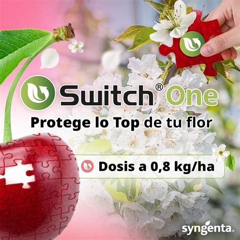 Switch®️ One ¡el Fungicida Top Para Proteger Tu Floración Smartcherry