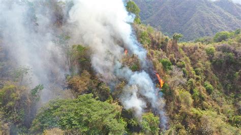 Se Registra Nuevo Incendio Forestal En La Sierra Nevada De Santa Marta