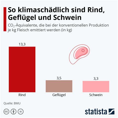 Rund Um Fleisch Und Fleischkonsum Infografiken