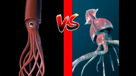 Colossal Squid VS Giant Squid YouTube