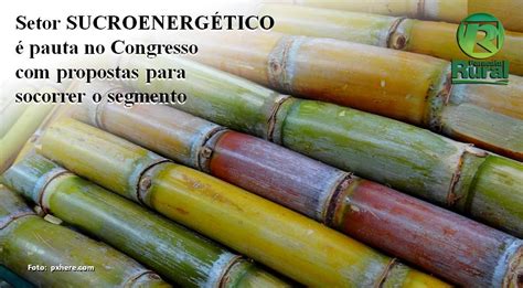 Setor SUCROENERGÉTICO É Pauta No Congresso Propostas Para Socorrer