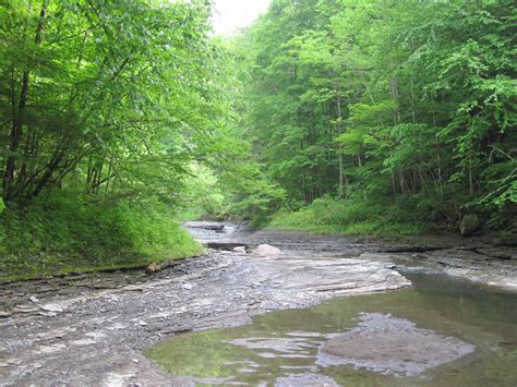 Chautauqua Creek Gorge State Forest Westfield Western New York