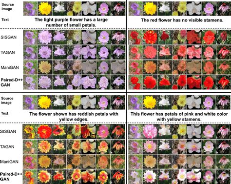 Visual Comparison On Oxford 102 Flower Dataset [17] For Each Block Download Scientific