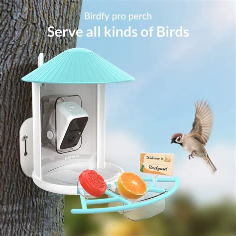 Newest Invention Of Birdfy Topnotch Bird Feeder You Cannot Miss