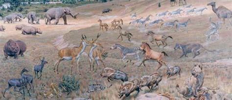 Pliocene - Alchetron, The Free Social Encyclopedia