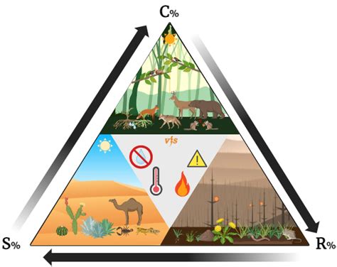 Chapter Life History Strategies Applied Ecology