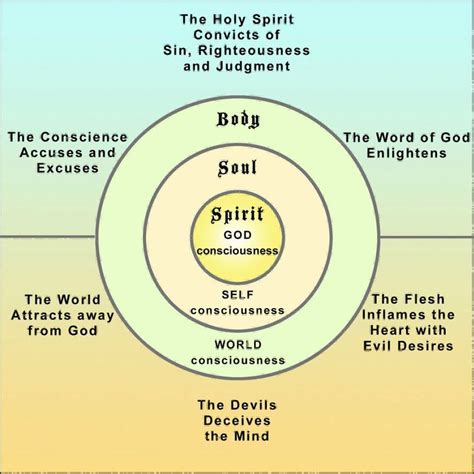 Biblical Diagram Of The Spirit Soul And Body