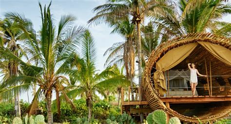 Best Luxury Treehouse Hotels – Travel Curator