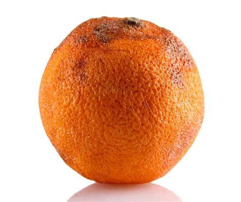 Rotten Orange Stock Photos Royalty Free Rotten Orange Images