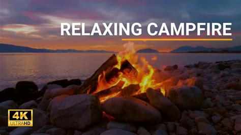 Campfire River Night Ambience Hours L Stress Relief L Asmrsleep