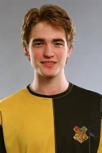 Harry Potter Cedric Hufflepuff Costume - Best Costumes