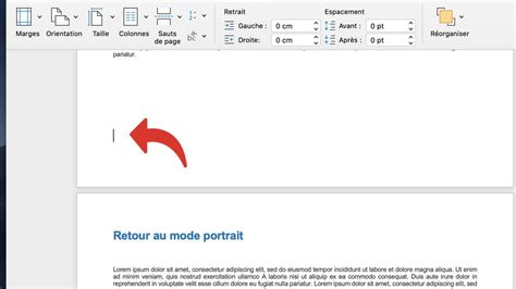 Comment Passer Une Ou Plusieurs Pages Dun Document Word En Mode Paysage