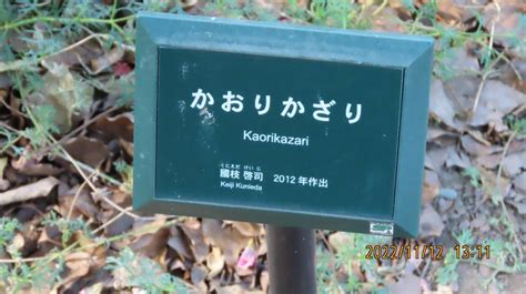 『久し振りに紅葉の日比谷公園を訪問④第一花壇のバラ見物より心字池へ』丸の内・大手町・八重洲東京の旅行記・ブログ By Tsunetaさん