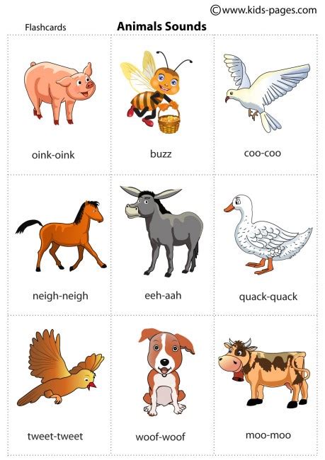 Animal Sounds flashcard