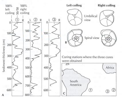 Biostratigraphy - Geo Projects