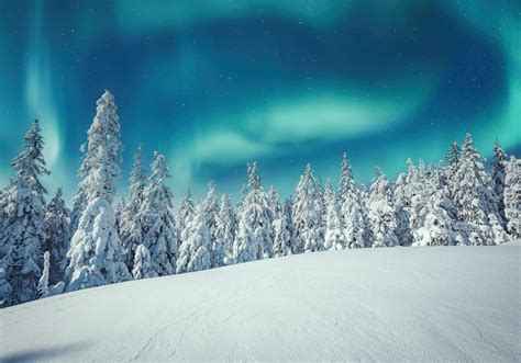 Oggi è il solstizio d inverno 2023 per l emisfero boreale ecco gli