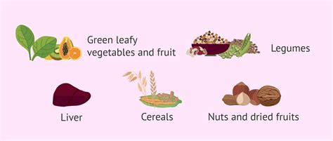 Foods rich in folic acid