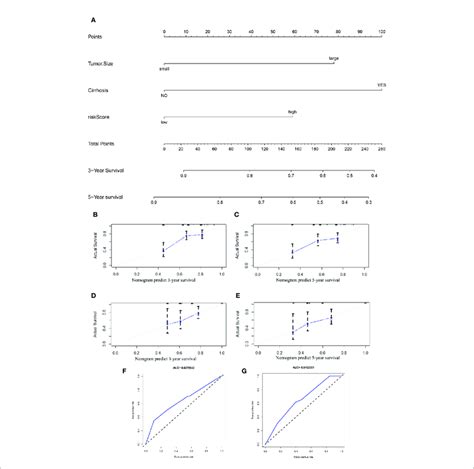 A Nomogram For Predicting The 3 And 5 Year OS Rates In HCC