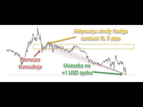 Hedging Fibonacciego Forex Kryptowaluty Jak Wyprowadza Stratne