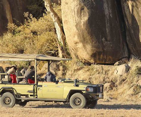 Vehicle Differences Open Versus Closed Side on a Tanzania Safari