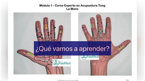 Información y fecha Módulo 1 Curso de Experto en Acupuntura Tung