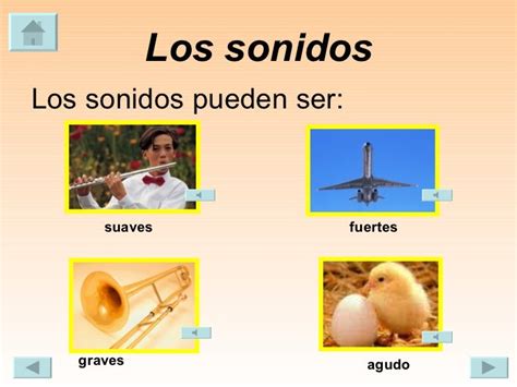 Los Cinco Sentidos