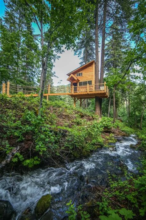 Top Cabin Rentals In The U S For Your Perfect Getaway Top Rated On