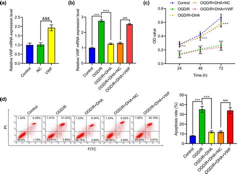 Dihydroartemisinin Ameliorates Cerebral I R Injury In Rats Via