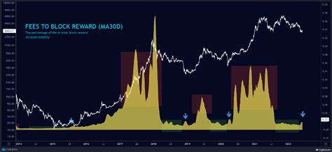 Fees Indicator Suggests Late Bear Market Periods 🔥 Cryptoquant