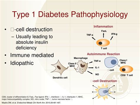 Ppt Comprehensive Overview Of Type 1 Diabetes Pathophysiology