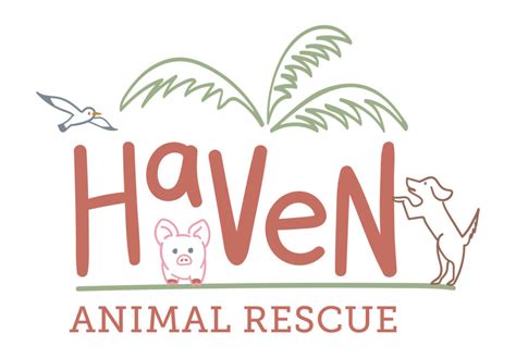 Haven Animal Rescue – Kind to all kinds.