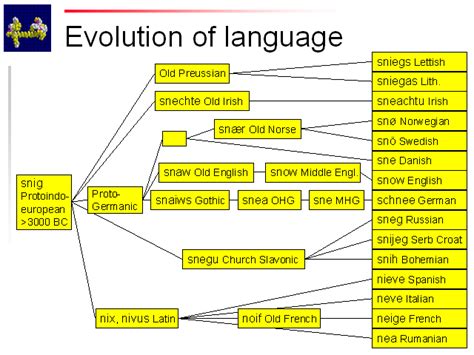 Understanding Evolution History Theory Evidence And Implictions