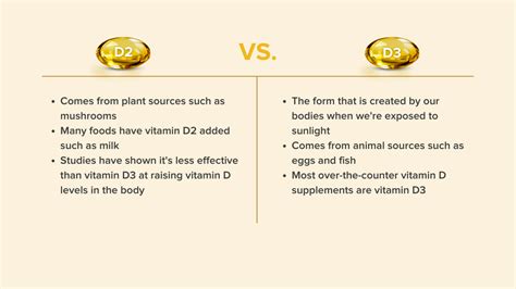 The Ultimate Guide to Vitamin D | Webber Naturals